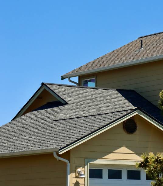 Best Roof Moss and Algae Removal  in Elk Mound, WI